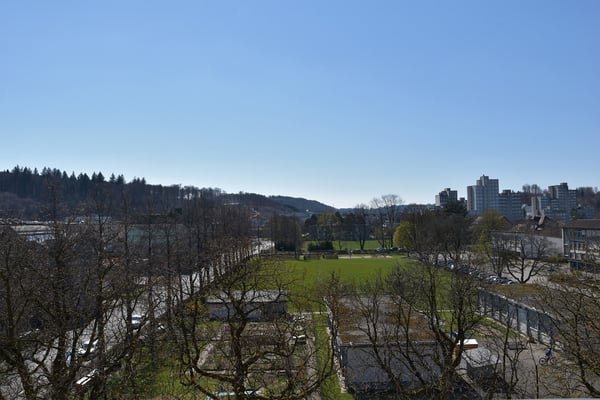 elegante 1.5-Zimmerdachwohnung mit Dachterrasse 2