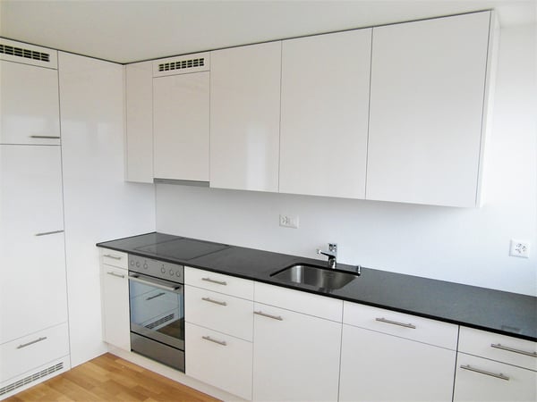 elegante 1.5-Zimmerdachwohnung mit Dachterrasse 4