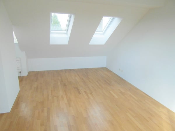 elegante 1.5-Zimmerdachwohnung mit Dachterrasse 11