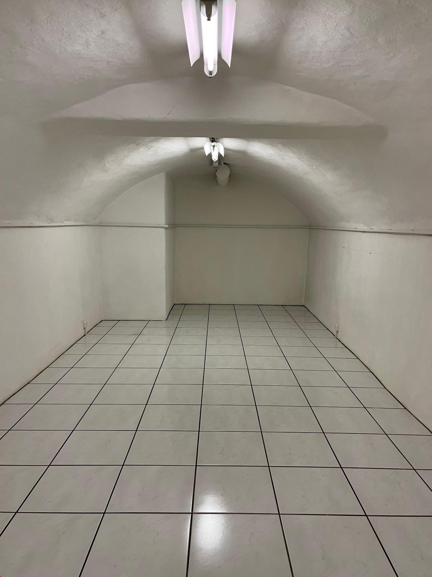empty, arched ceiling, white walls, white floor tiles, two lights