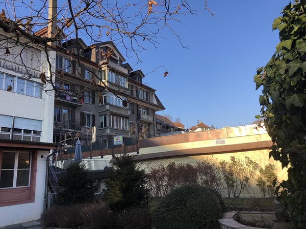 Gewerbefläche mit Garten & Dachterrasse direkt unter der Laube 3