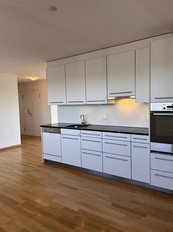 3.5-Zimmer-Attikawohnung mit wunderschönem Bergpanorama 10