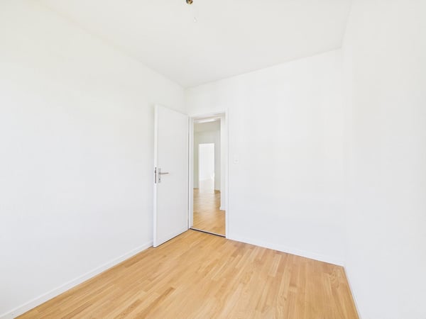 frisch sanierte & helle 4.5-Zimmerwohnung an zentraler Lage 13