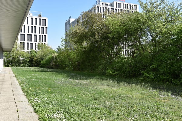 grosszügige & zentrale 1-Zimmerwohnung im Wankdorf 14