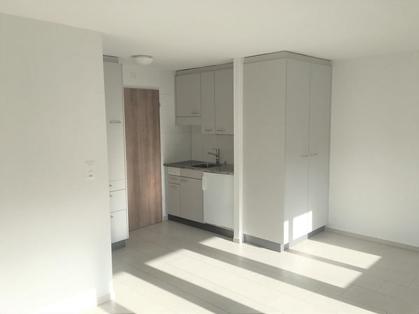 1-Zimmerwohnung im Länggassquartier 1