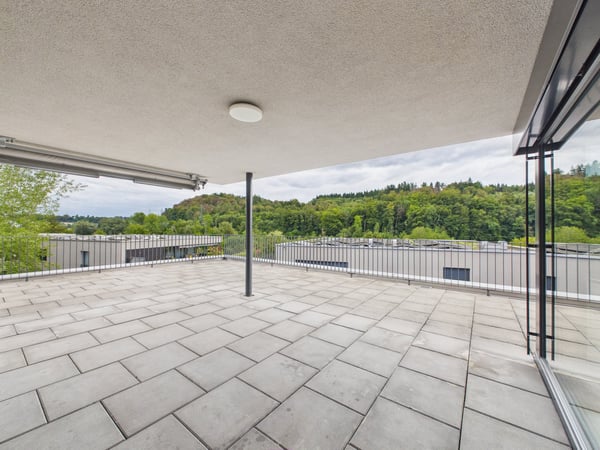 2.5-Zimmerattikawohnung mit grosszügiger Terrasse 10