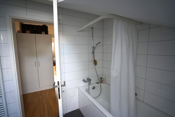 charmante 2.5-Zimmerdachwohnung nähe Rosengartens 7