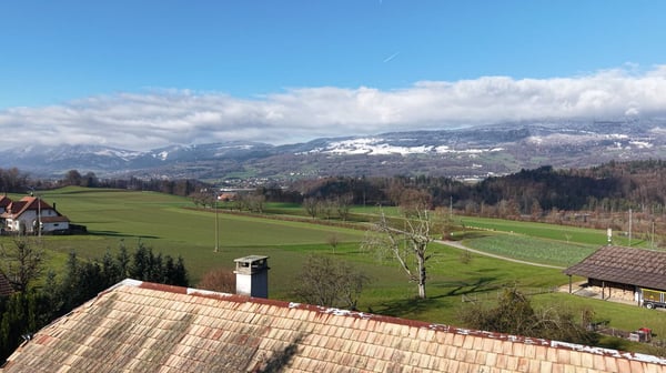 Freie Blick uf Aare u Jura - ändlech Bouland mit meh Chance u Potenzial aus Risike u Uflage 15