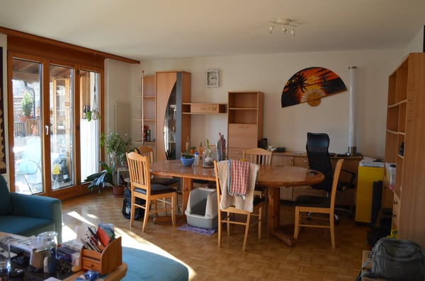 Charmantes 1.5-Zimmer-Doppelhaus in ruhiger Lage von Brislach 2