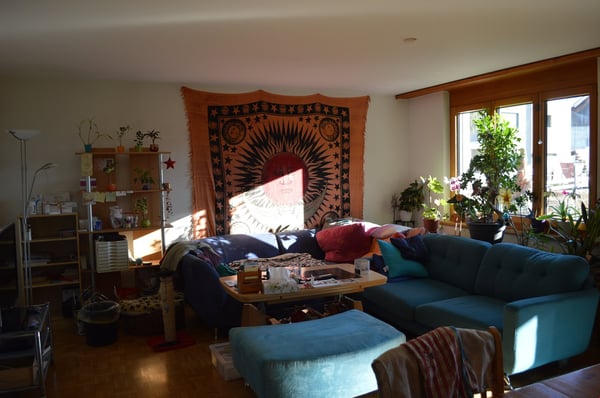 Charmantes 1.5-Zimmer-Doppelhaus in ruhiger Lage von Brislach 3