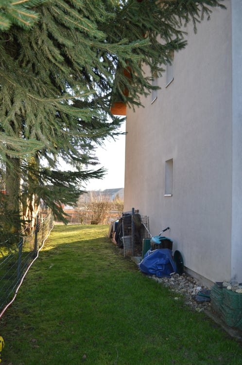 Charmantes 1.5-Zimmer-Doppelhaus in ruhiger Lage von Brislach 5