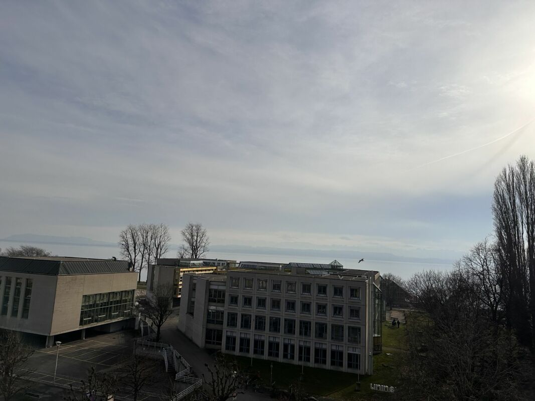 Magnifique appartement de 6 pièces au dernier étage d'un immeuble de caractère - Rue Edouard-Desor 3 à Neuchâtel
