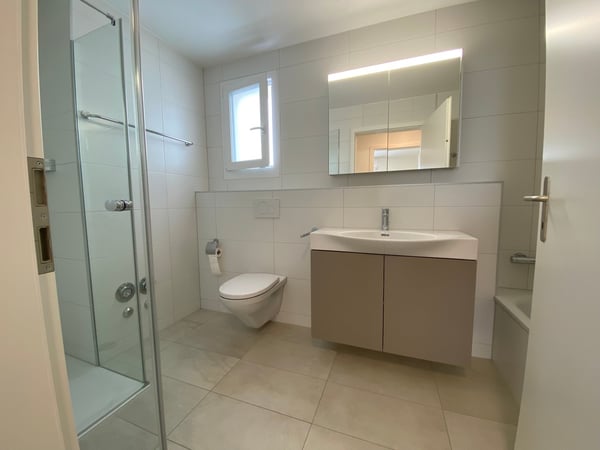 3.5 Zimmer Attika Wohnung 9