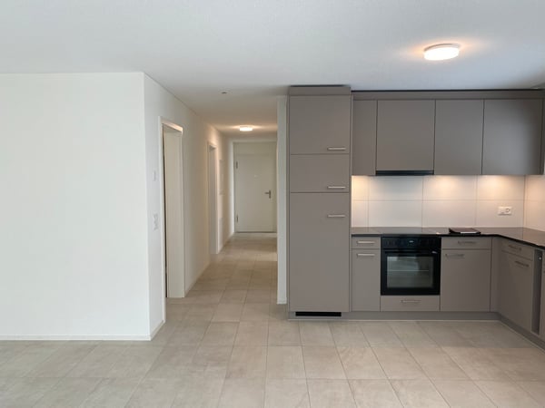 3.5 Zimmer Attika Wohnung 7