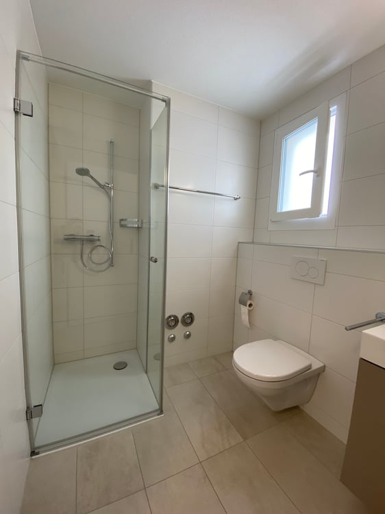 3.5 Zimmer Attika Wohnung 10
