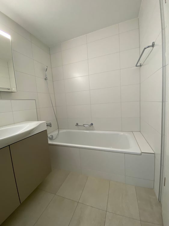 3.5 Zimmer Attika Wohnung 11