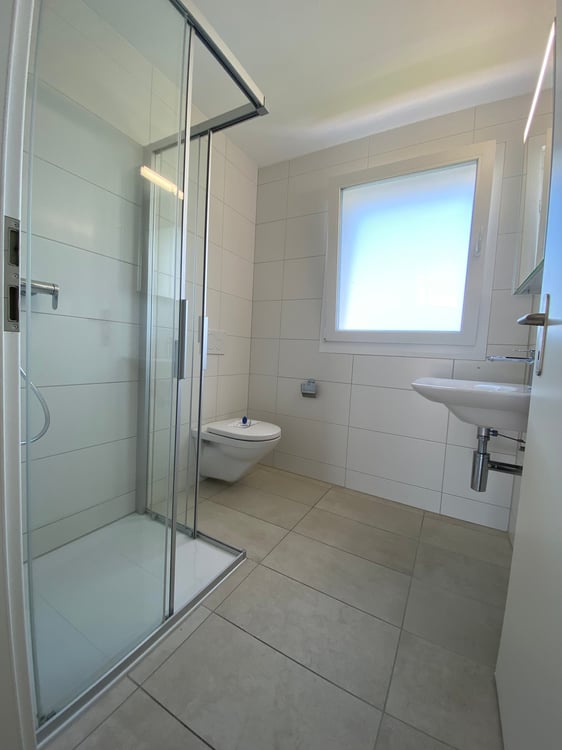 4.5 Zimmer Attika Wohnung 10