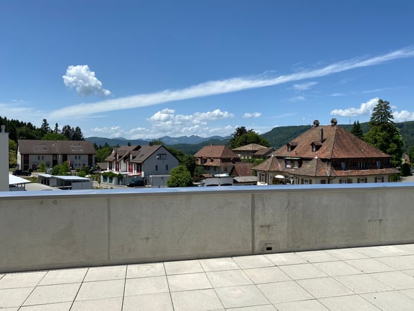 4.5 Zimmer Attika Wohnung 4