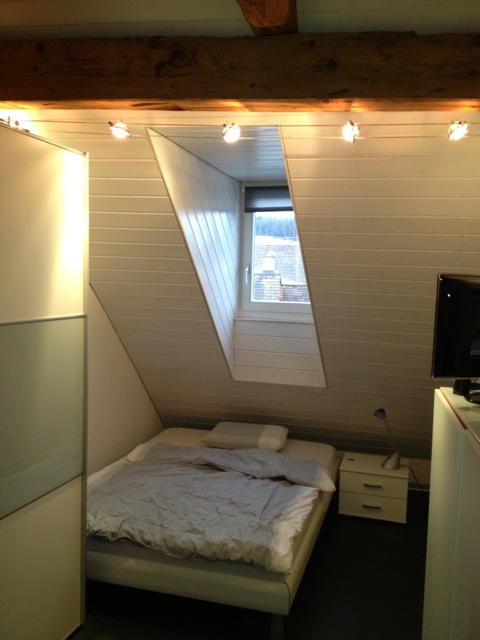 Dach-Maisonettewohnung 3