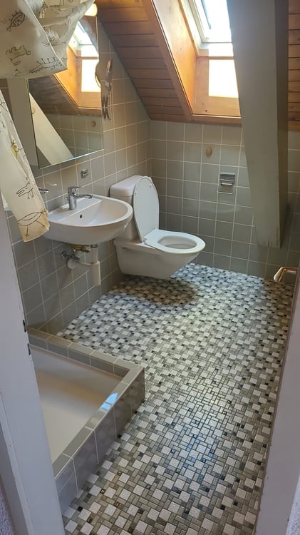 Ab sofort - Grosszügige 2.5 Zi Dachwohnung mit traumhafter Aussicht 20