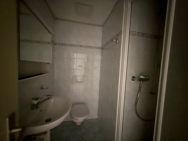 Per 15.6./1.7./15.7. - Tolle, grosszügie 4.5 Zi Wohnung mit 3 grossen Balkonen 19