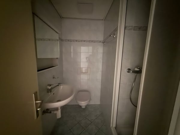 Per 15.6./1.7./15.7. - Tolle, grosszügie 4.5 Zi Wohnung mit 3 grossen Balkonen 18