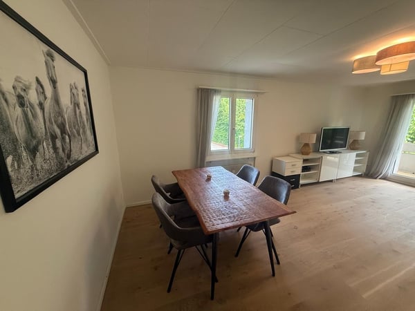 Ab sofort - Tolle 3.5 Zi Wohnung, auf Wunsch möbliert/ausgerüstet - Bezugsbereit ab sofort 8