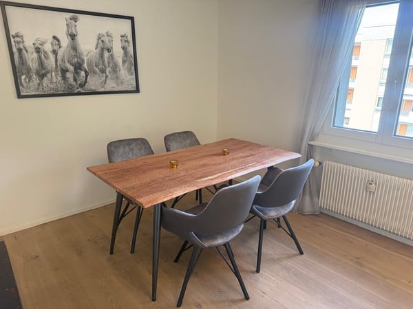 Ab sofort - Tolle 3.5 Zi Wohnung, auf Wunsch möbliert/ausgerüstet - Bezugsbereit ab sofort 7