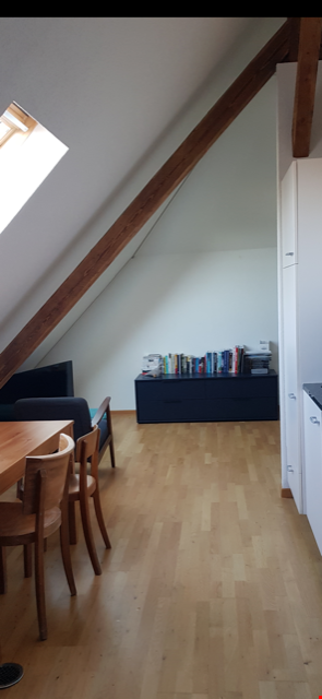 Ab 1.9./1.10. - Toller Ausblick von der 2.0 Zi Dach Whg ins Quartier/Grüne 5