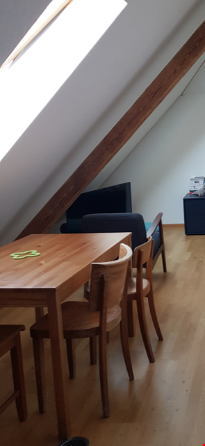 Ab 1.9./1.10. - Toller Ausblick von der 2.0 Zi Dach Whg ins Quartier/Grüne 7