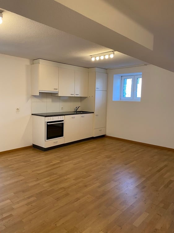 Ab 1.8. - Frisch gestrichene, praktische und hübsche 2.5 Zi Wohnung 4