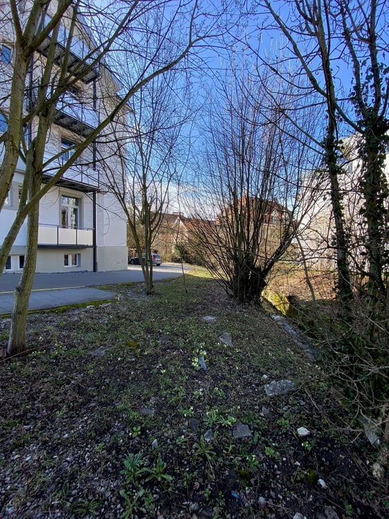 Ab 1.8./1.9./1.10. - Schöne 2.5 Zi Wohnung im Loftstyle, mit Balkon 5
