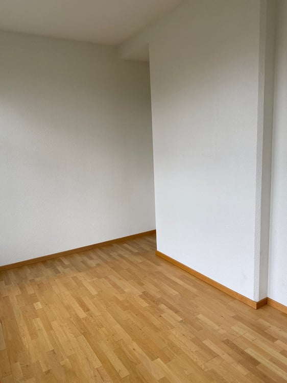 Ab 1.8./1.9./1.10. - Schöne 2.5 Zi Wohnung im Loftstyle, mit Balkon 10