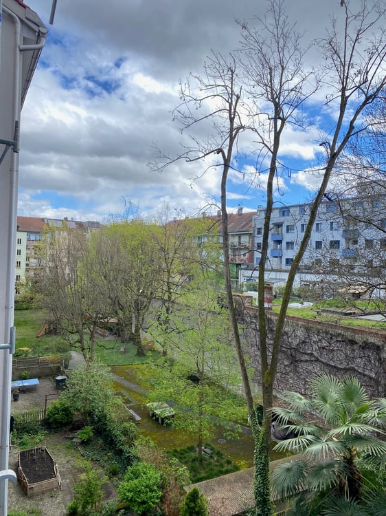 Ab 1.11.2026 - Wunderschöne 3.5 Zi Wohnung, lauschiger Balkon 9