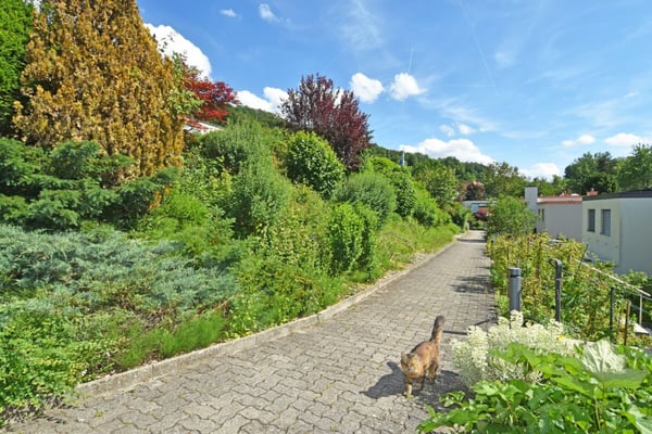 Stadtnahes und gemütliches Familienhaus 15