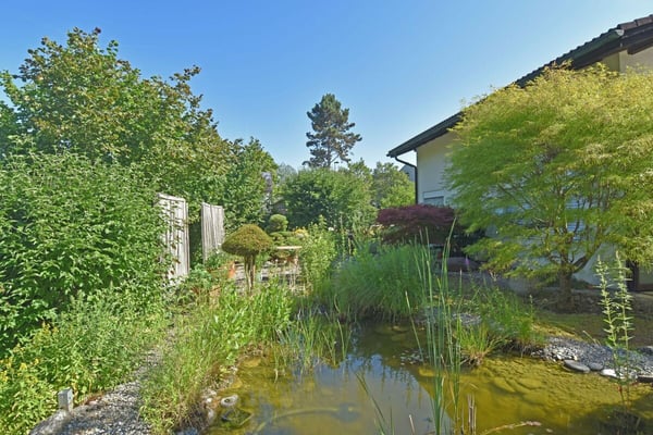 Familienglück auf grossem Grundstück, sonnig, naturnah 2