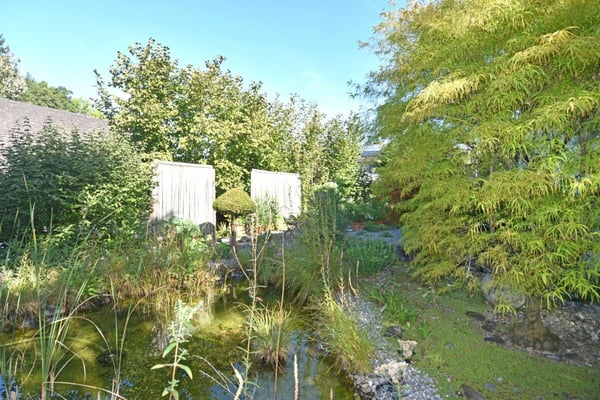 Freistehendes Einfamilienhaus mit idyllischem Garten 6