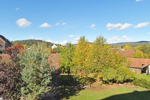 Historisches Zuhause mit grossem Garten, Studio & viel Platz 10