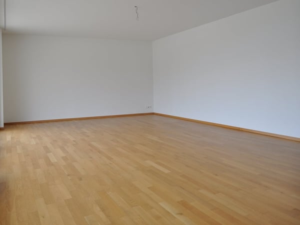 4.5 Zimmer Attika-Wohnung mit weiter Aussicht 6