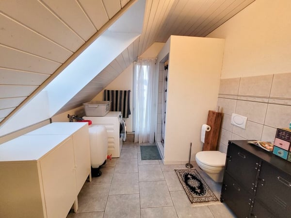 Grosse helle Attikawohnung 14