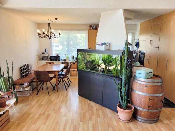 Grosse helle Attikawohnung 3