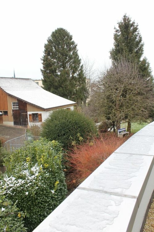 Im Grünen, zentral gelegen - wohnen wie im Einfamilienhaus 15