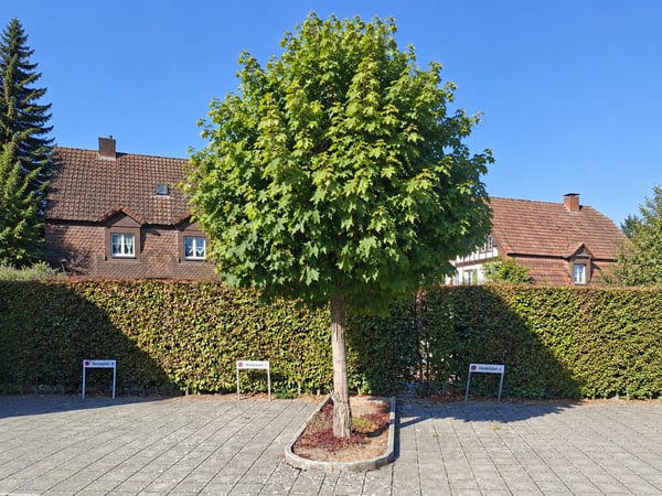 Aussenparkplätze zu vermieten