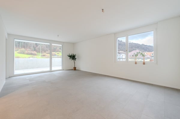 Neubauprojekt mit Loft-Charakter in AARBURG 1