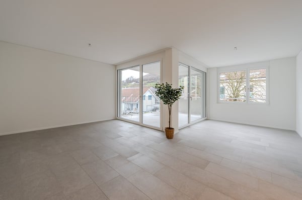 Neubauprojekt mit Loft-Charakter in AARBURG 2