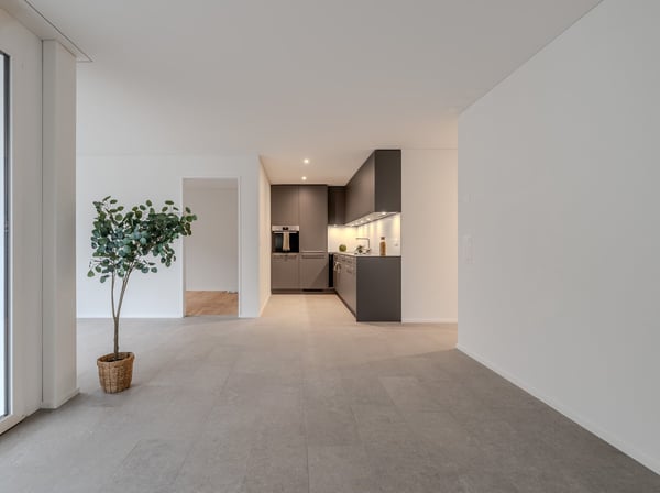 Neubauprojekt mit Loft-Charakter in AARBURG 3