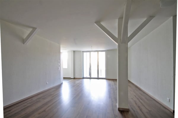 Grossflächige, sehr moderne, Wohnung in der alten Schueni, Brittnau 5