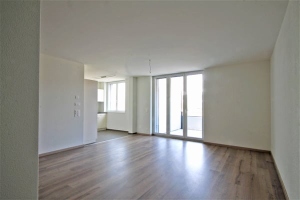 Grossflächige, sehr moderne, Wohnung in der alten Schueni, Brittnau 4