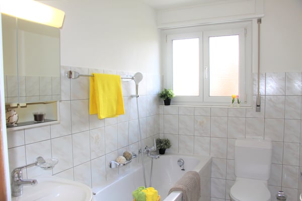 Charmante 3-Zi-Wohnung mit sonnigem Balkon - in einem kleinen MFH 10