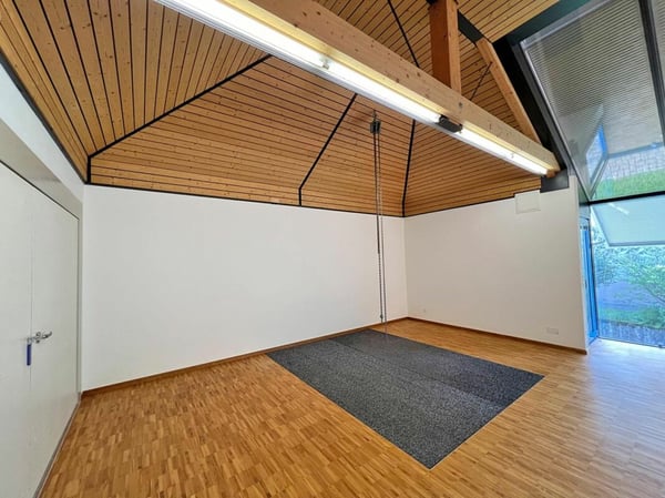 Eigenständige Gewerbeliegenschaft mit flexiblen Nutzungsmöglichkeiten 8